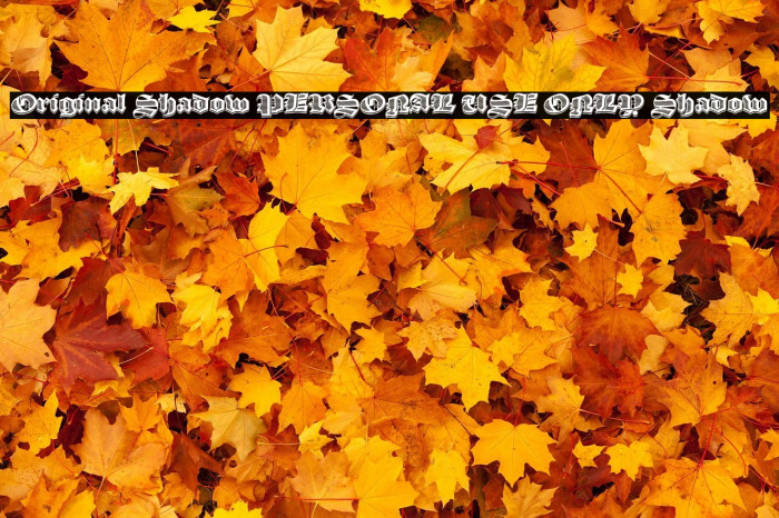 Original Shadow PERSONAL USE ONLY Shadow Example 1