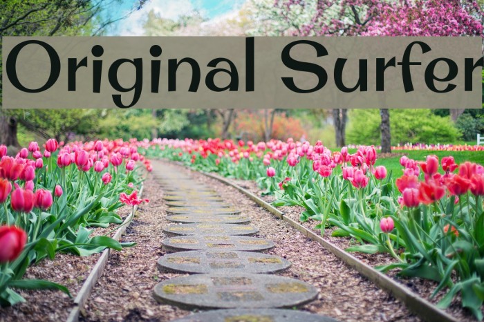 Original Surfer Example 3