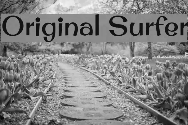 Original Surfer Font examples