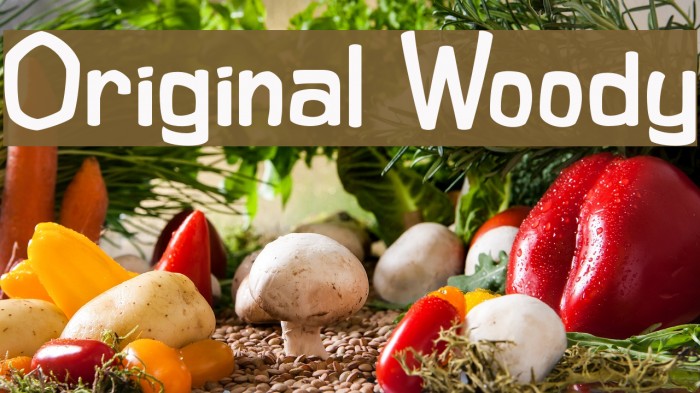 Original Woody Example 3