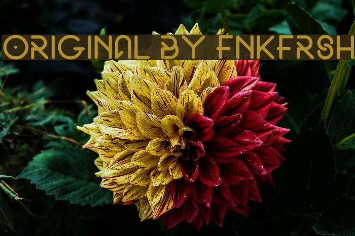 Original by fnkfrsh Example 2