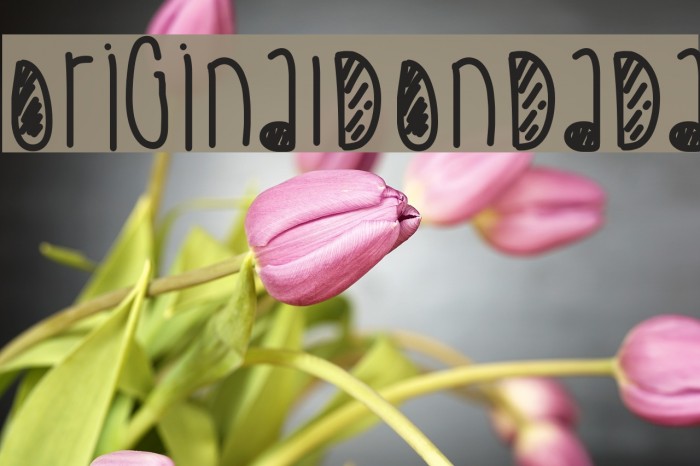 OriginalDonDada Font examples