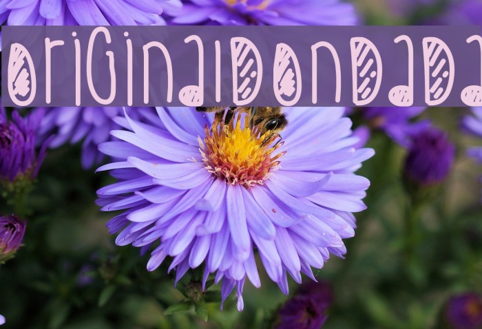 OriginalDonDada Font examples