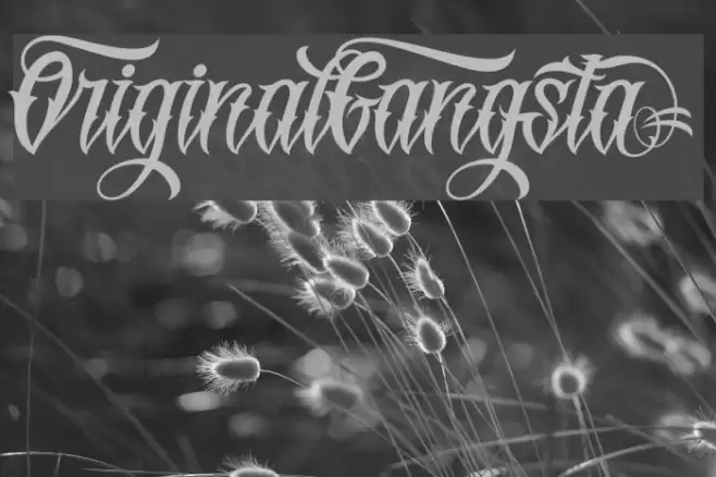 OriginalGangstA Font examples