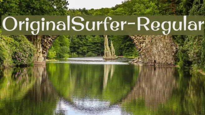 OriginalSurfer-Regular Example 2