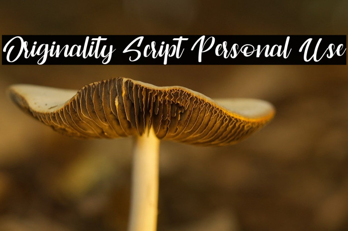 Originality Script Personal Use Example 2