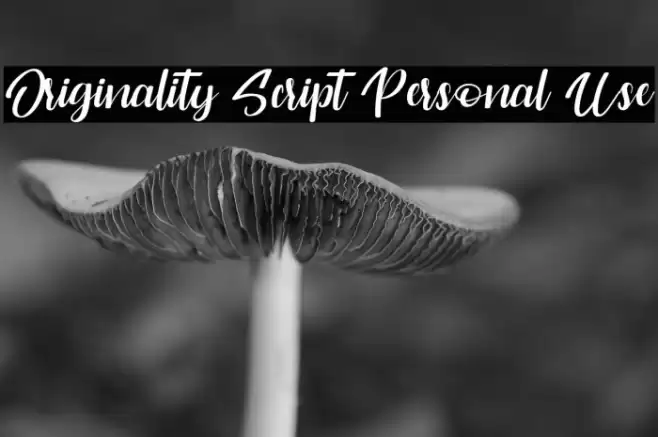 Originality Script Personal Use Fonte examples