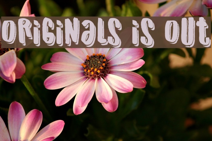 Originals is Out Font examples