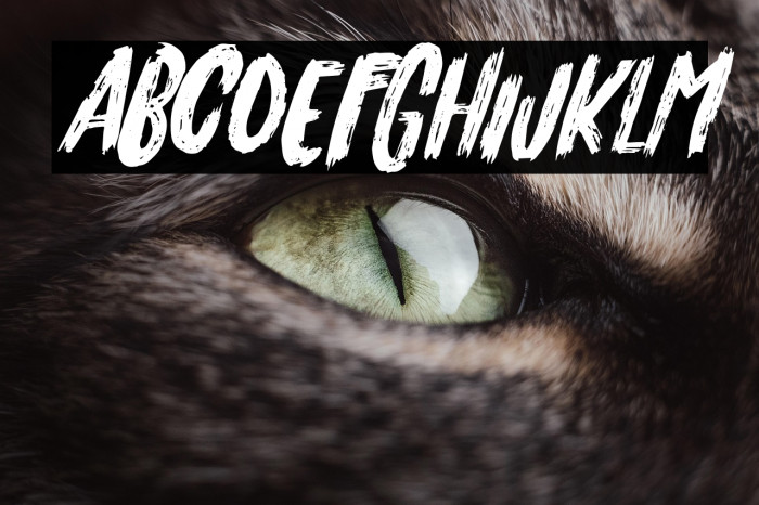 Originals2Italic-Regular Example 1