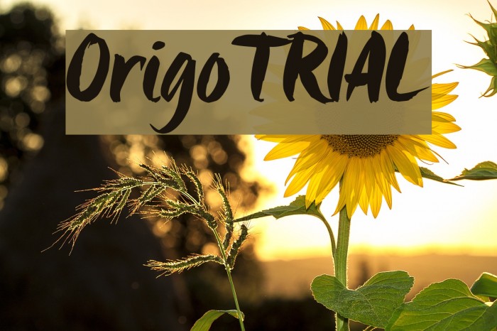Origo_TRIAL لخطوط تنزيل examples