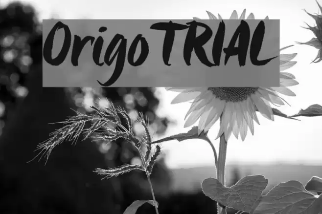 Origo_TRIAL Font examples