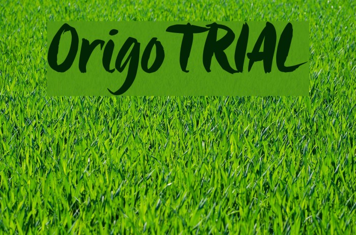 Origo_TRIAL لخطوط تنزيل examples