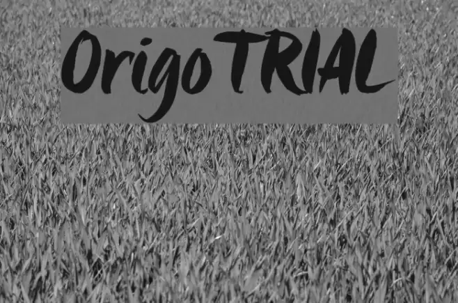 Origo_TRIAL Font examples