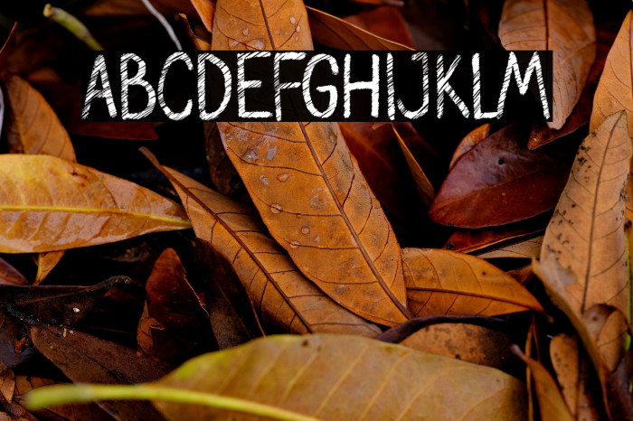 Orion Chalk Scratch Demo Versio Example 1