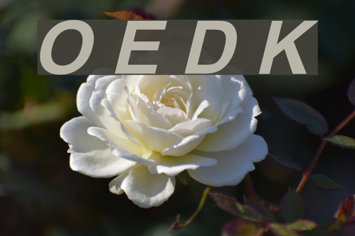 Orion Esperanto Dika Kursiva Font examples