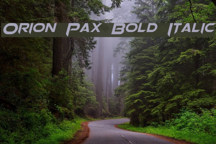 Orion Pax Bold Italic Font examples