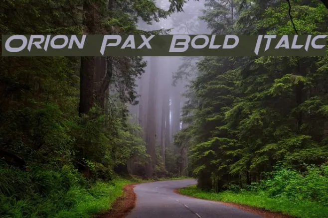 Orion Pax Bold Italic Example 1