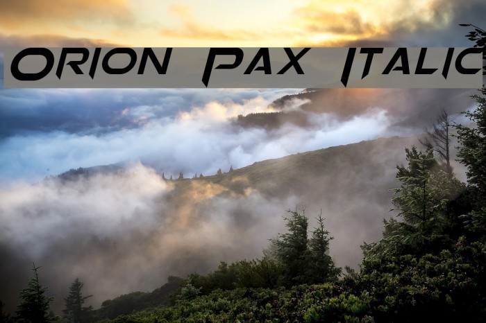 Orion Pax Italic Font examples