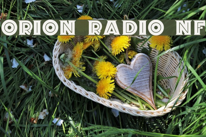 Orion Radio NF Font examples
