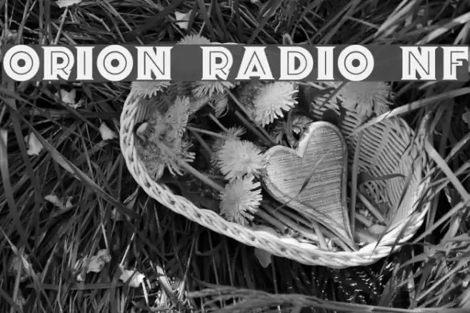 Orion Radio NF フォント examples