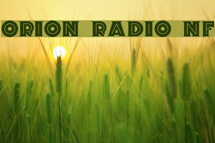 Orion Radio NF Font examples