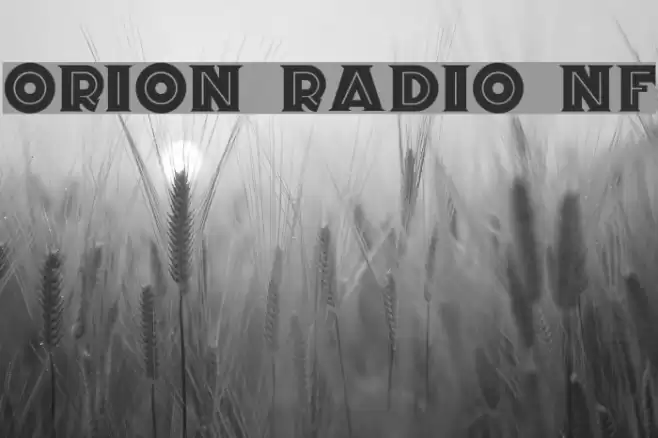 Orion Radio NF フォント examples