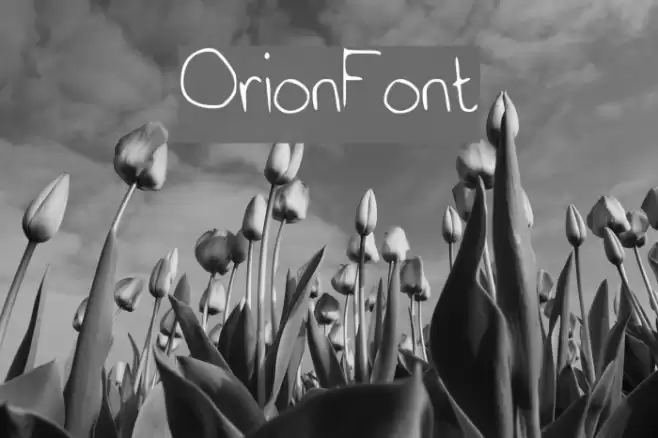 OrionFont Font examples