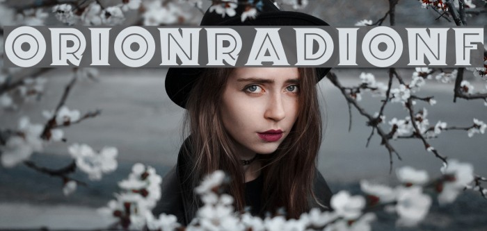 OrionRadioNF Font examples