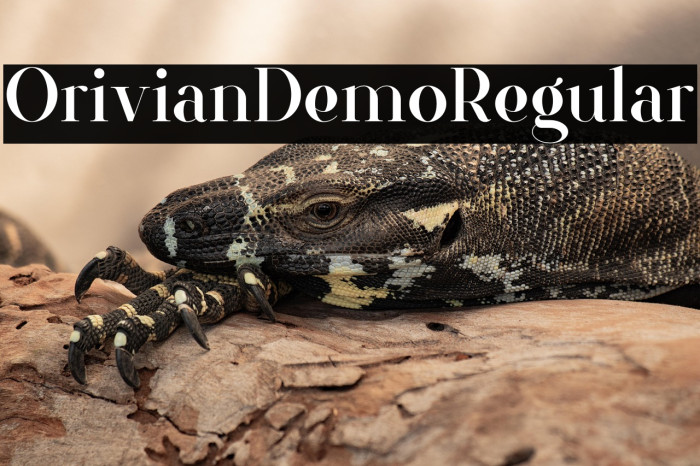 Orivian Demo Regular Example 2