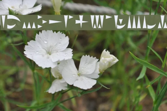 Ork Glyphs Example 3