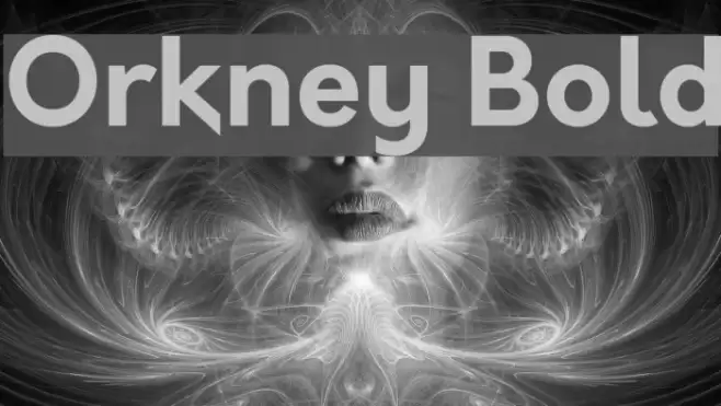 Orkney Bold Font examples