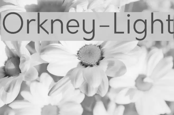 Orkney-Light Font examples