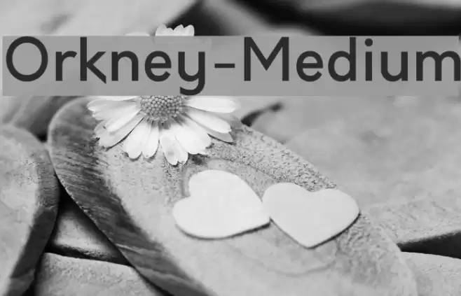 Orkney-Medium Font examples
