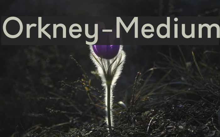 Orkney-Medium Example 3