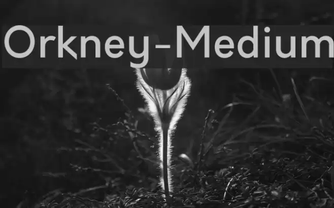 Orkney-Medium Font examples