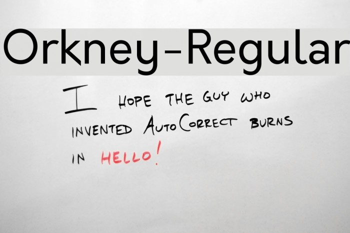 Orkney-Regular Font examples