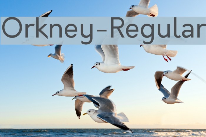 Orkney-Regular Font examples