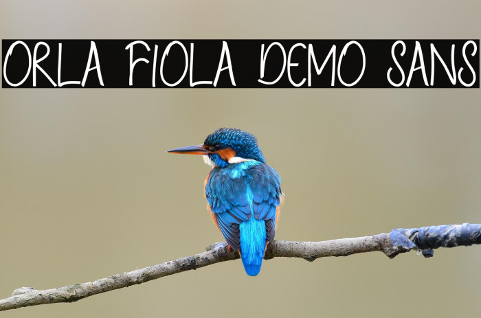 Orla Fiola Demo Sans Example 1