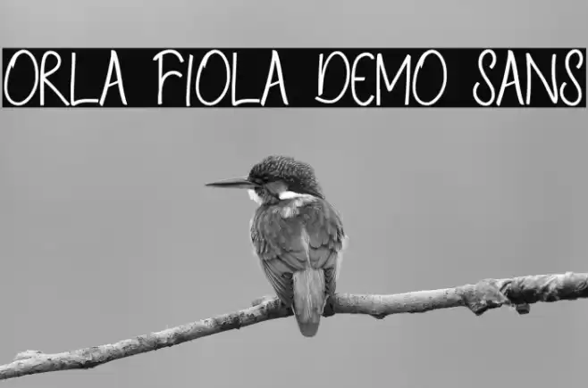 Orla Fiola Demo Sans Font examples