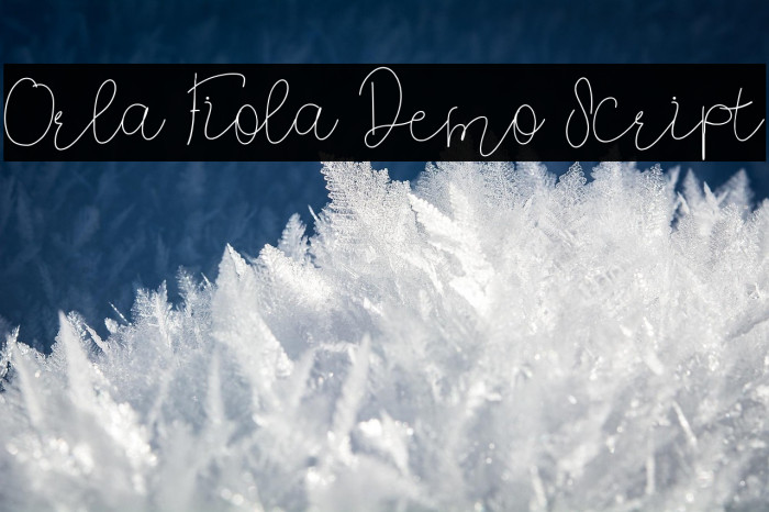 Orla Fiola Demo Script Example 3