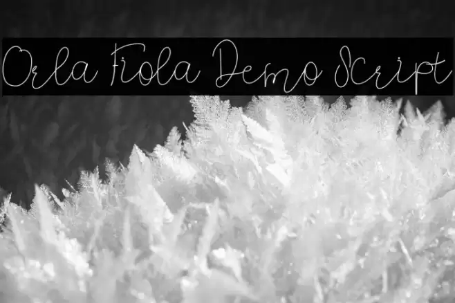Orla Fiola Demo Script Font examples