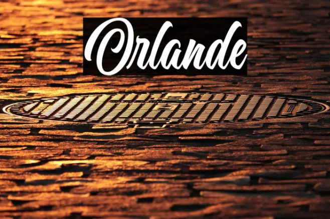 Orlande Example 3