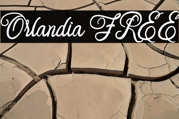 Orlandia FREE Example 2