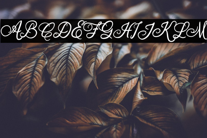 OrlandiaFREE Example 1