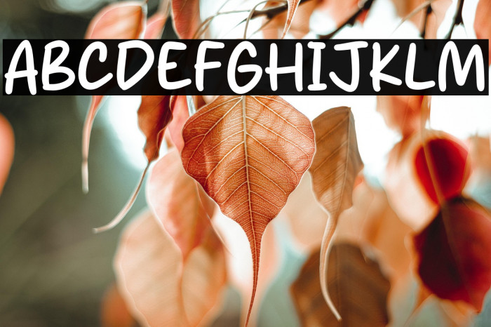 Orleans City Example 2