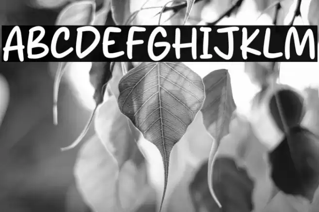 Orleans City Font examples