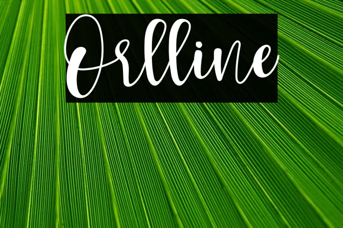 Orlline Example 2