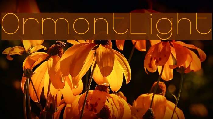 OrmontLight Font examples