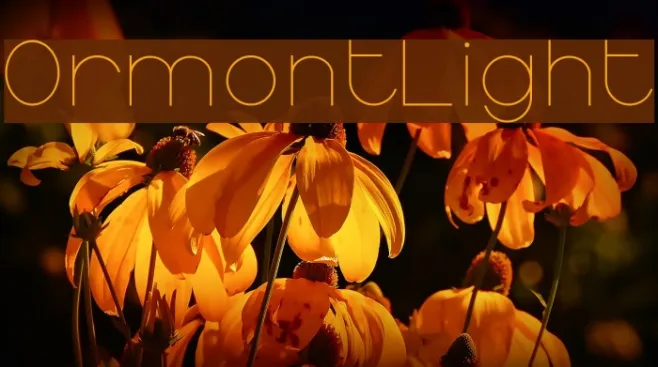 OrmontLight Example 2