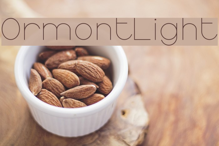 OrmontLight Font examples